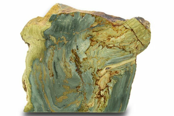 Free-Standing, Gary Green Jasper (Larsonite) Bog Wood - Oregon #334723